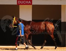 09.07 Corridas » 09.07 Corridas » 180424